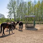 Апартаменты Galerie Unterm Reet