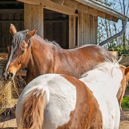 Galerie Unterm Reet Апартаменты Гельтинг