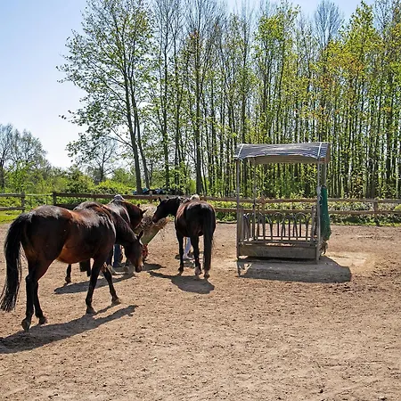 Galerie Unterm Reet *