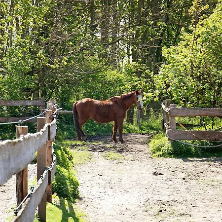 Galerie Unterm Reet Апартаменты