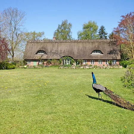 Galerie Unterm Reet Апартаменты *